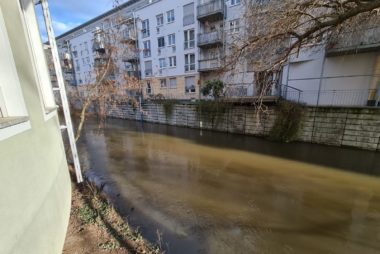 Hochwassersituation in Halle Derzeit sorgen sich viele Bürger nicht nur um die aktuelle Coronalage.